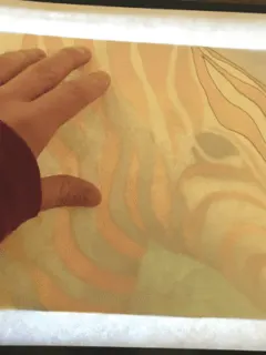 how to use a light box for tracing a zebra painting