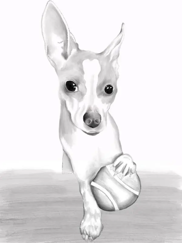 drawing of dog with tennis ball
