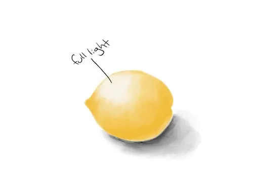 drawing of lemon with full light