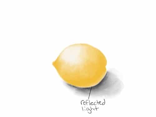 drawing of lemon with reflected light