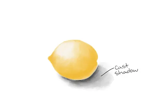 drawing of lemon with cast shadow