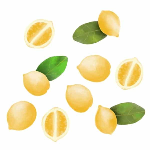 procreate drawing collection of lemons