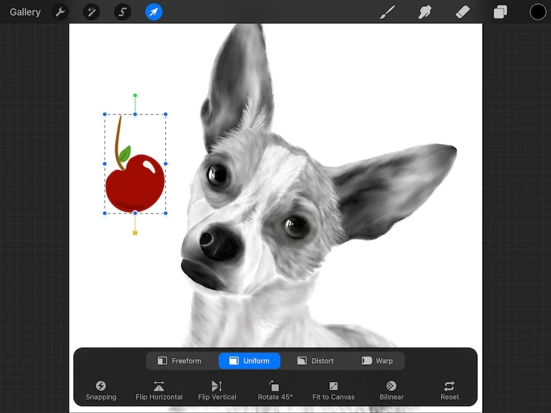 procreate copy and paste to new canvas