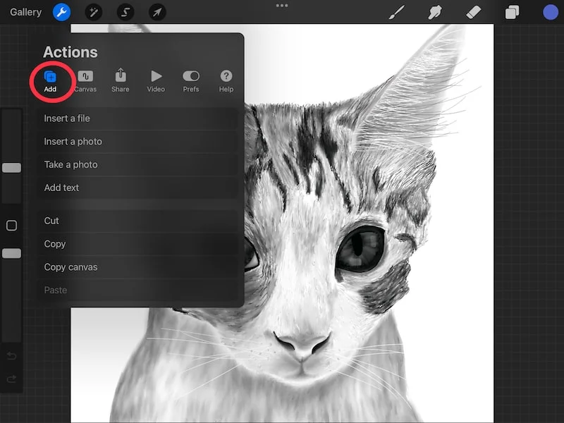 procreate wrench actions menu copy and paste