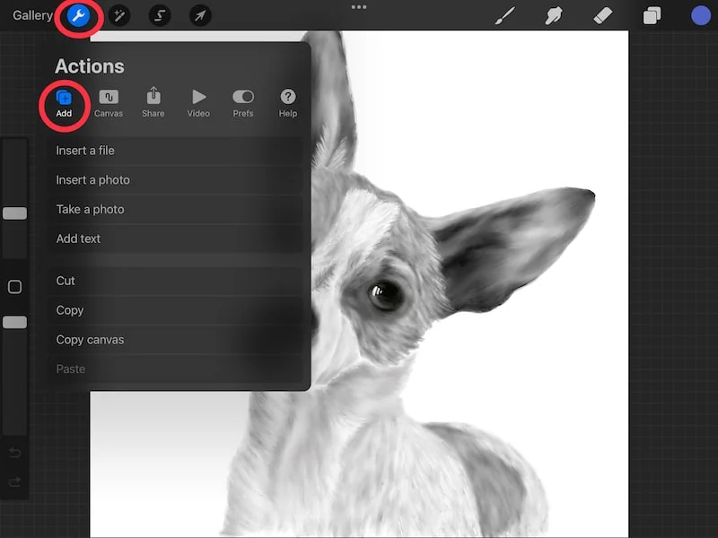 procreate wrench add menu copy and paste tool
