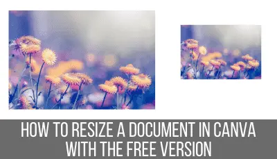 how to resize a document in canva with the free version