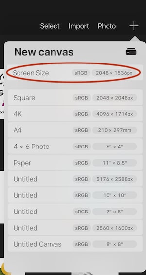 Procreate screen size canvas size