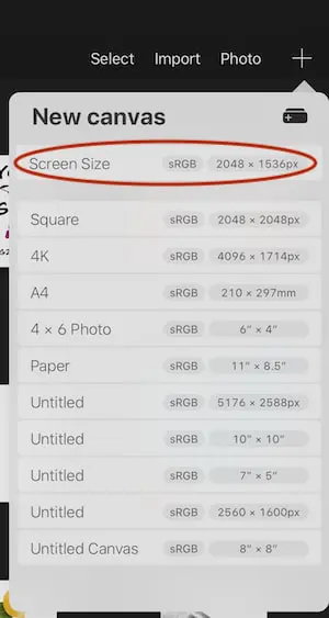 Procreate screen size canvas