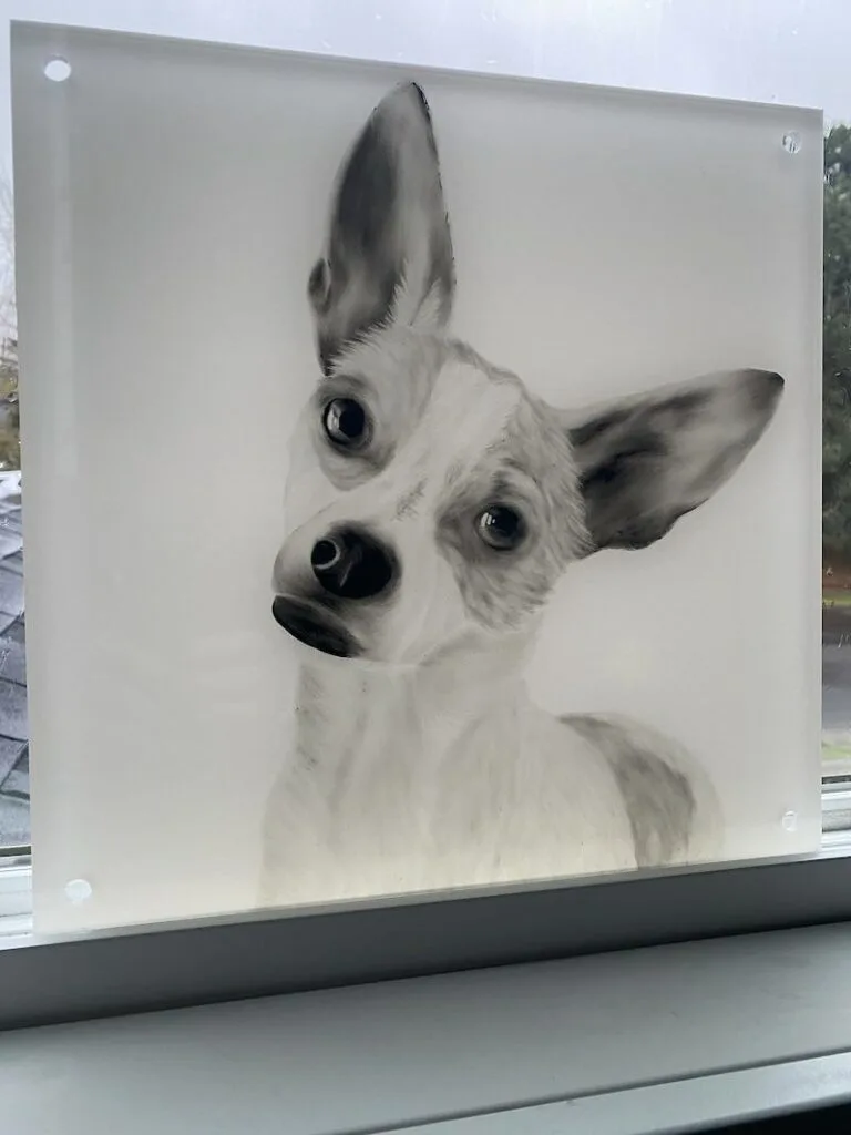 dog drawing acrylic print gelato