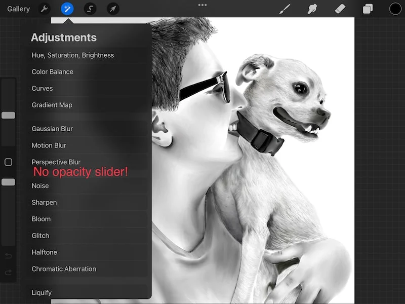 procreate adjustments menu no opacity slider