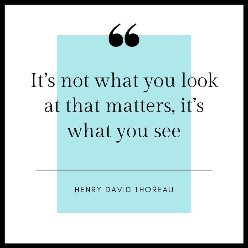 it's not what you look at that matters, it's what you see henry david thoreau quote