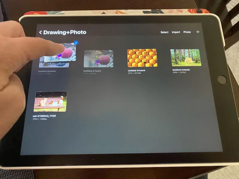 selecting multiple pieces of procreate art