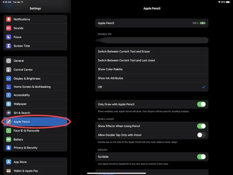 ipad apple pencil settings submenu