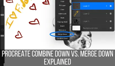 procreate combine down vs. merge down explained