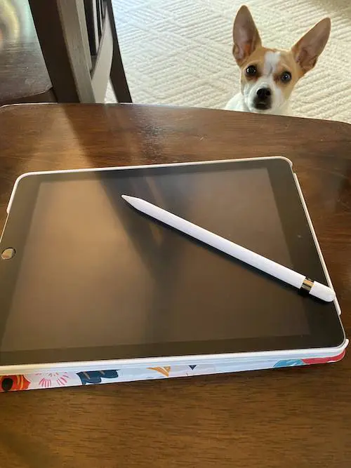 ipad with apple pencil and dog