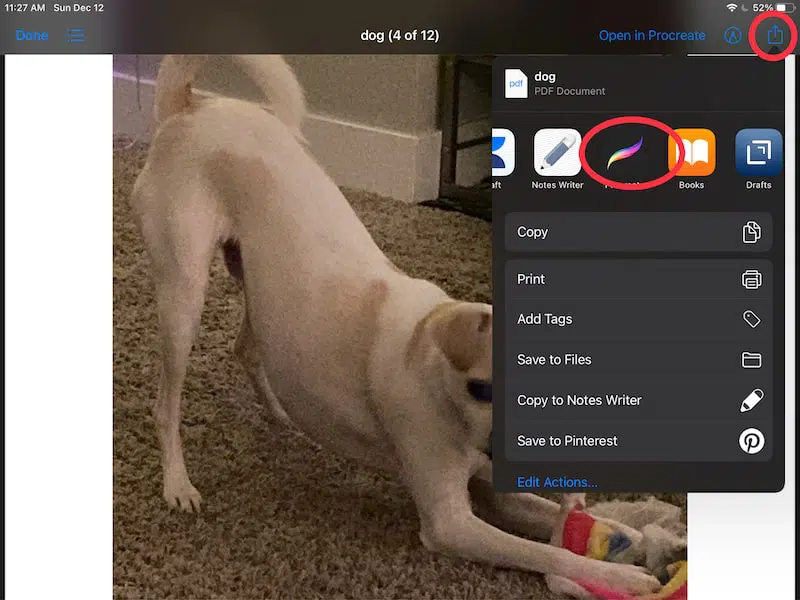 pdf open in procreate from files using share button