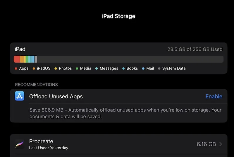 ipad storage for procreate art showing settings