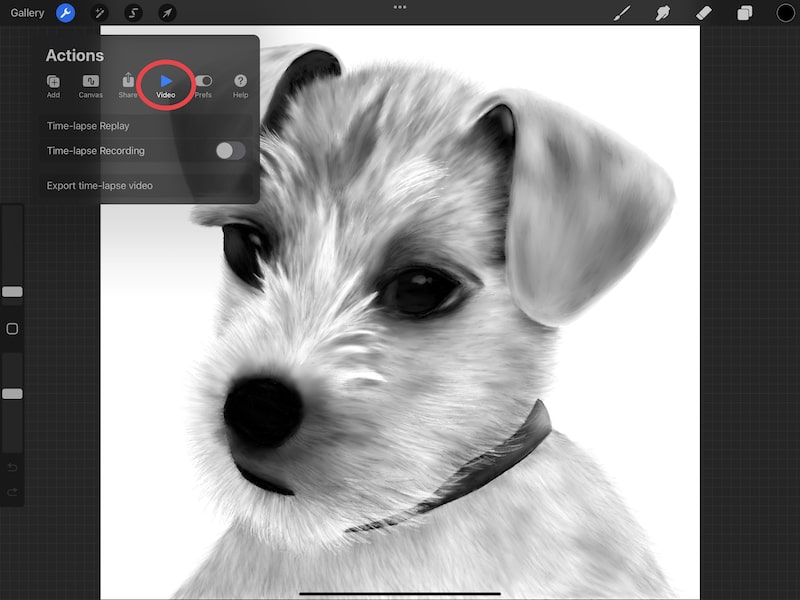 procreate dog drawing actions menu video option