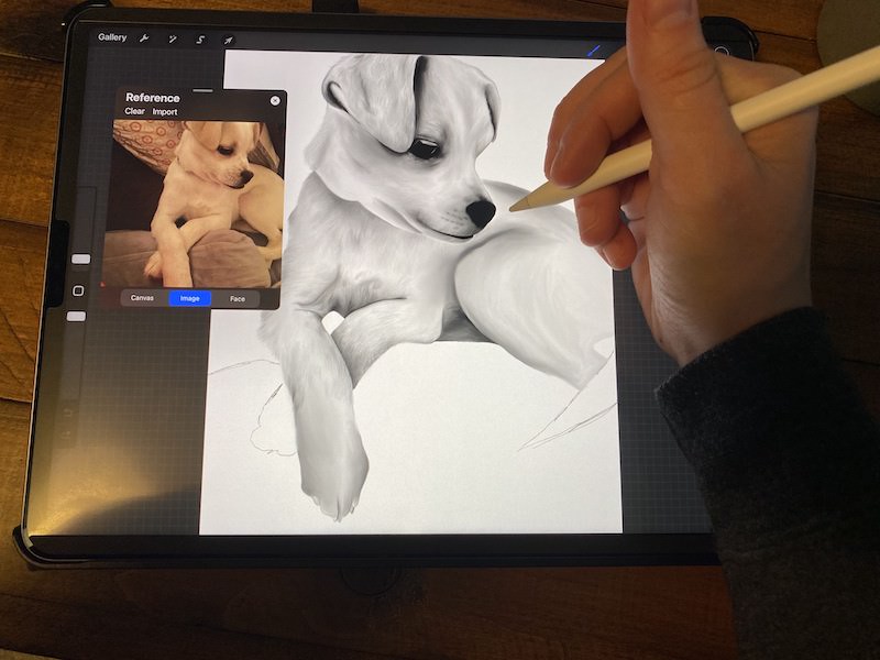 procreate dog drawing with apple pencil ipad