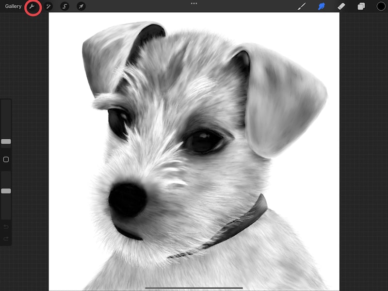 procreate dog drawing wrench actions menu