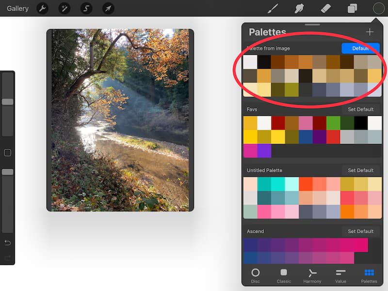 procreate color palettes from images