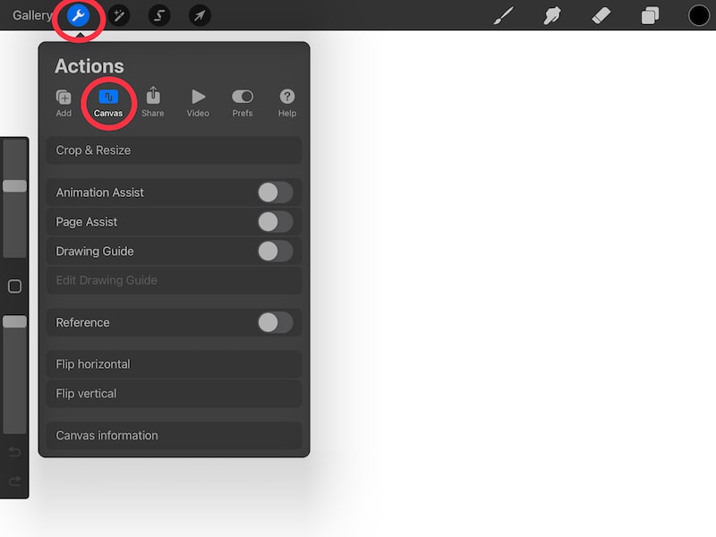 procreate actions menu and canvas symmetry