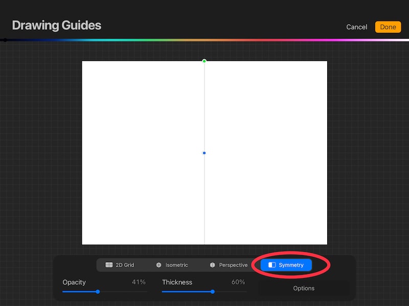 procreate drawing guides symmetry option
