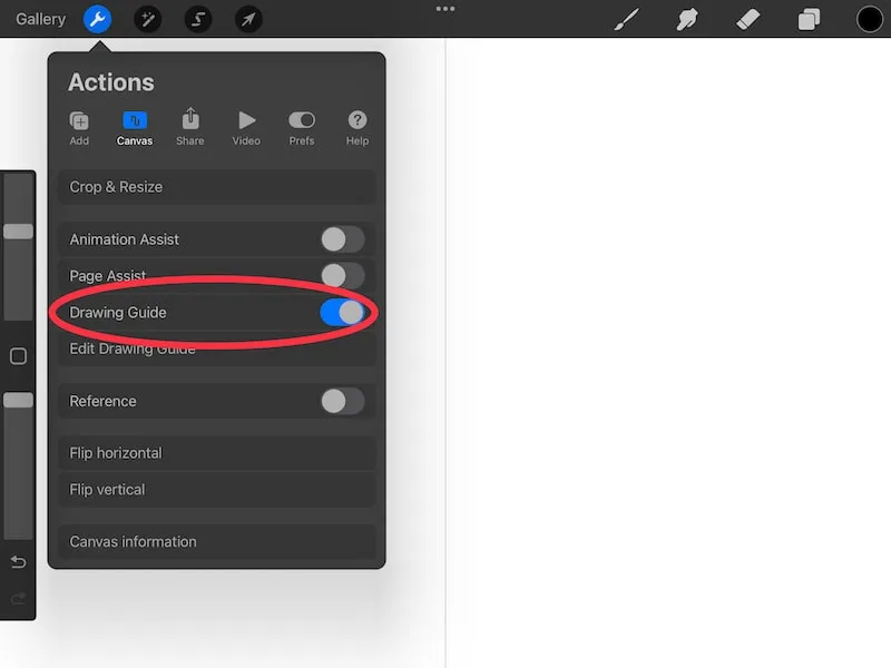 procreate toggle on drawing guide for symmetry