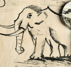 are drawings primary sources? elephant drawing with magnifying glass