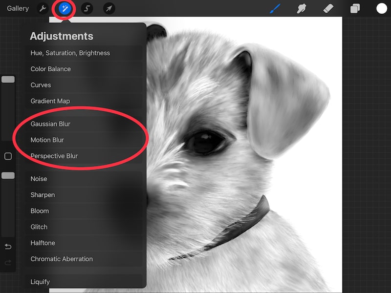 procreate adjustments menu blur options dog drawing