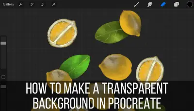 how to make a transparent background in procreate