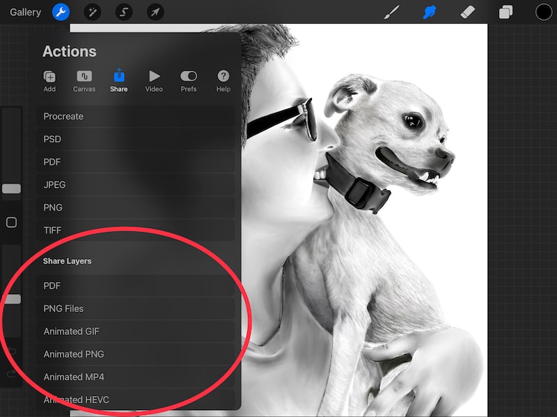 procreate export and share with layers