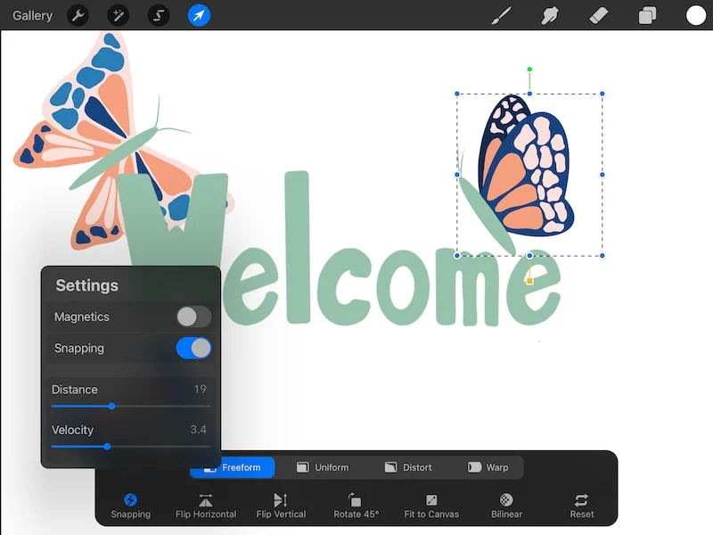 procreate transform tool snapping settings