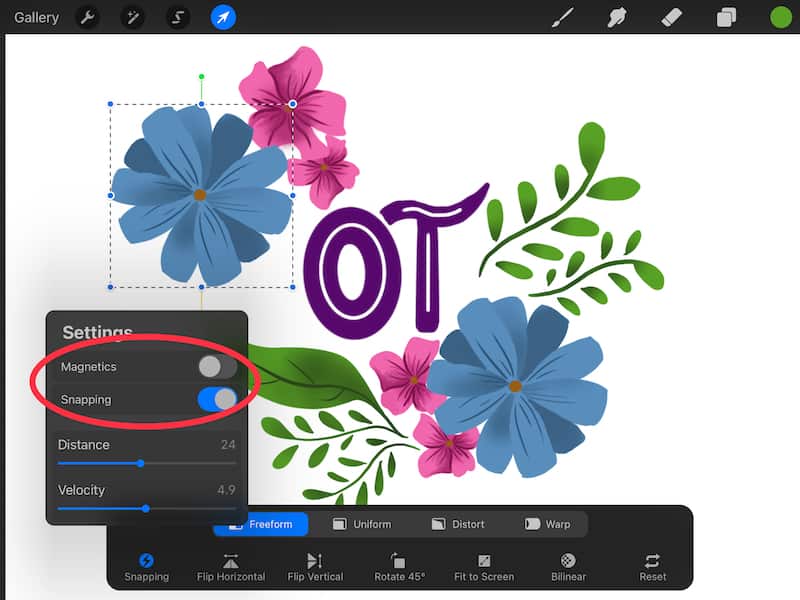 procreate snapping and magnetics