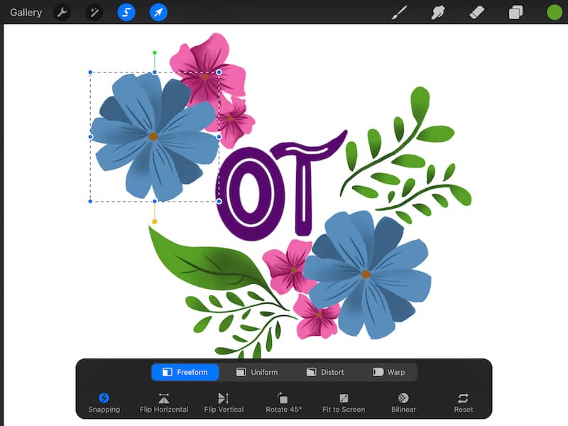 procreate select and transform tools