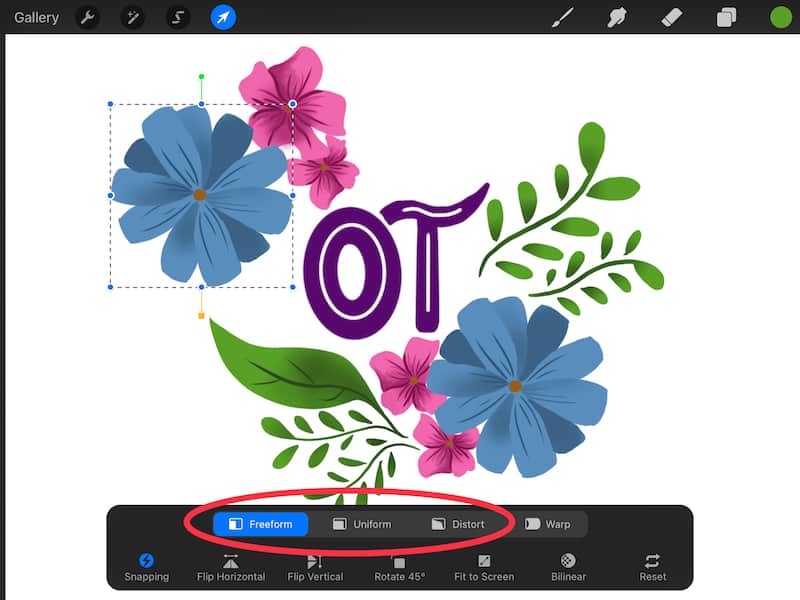 procreate snapping tool in the transform tool