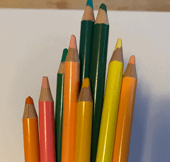 group on yellow and green colored pencils