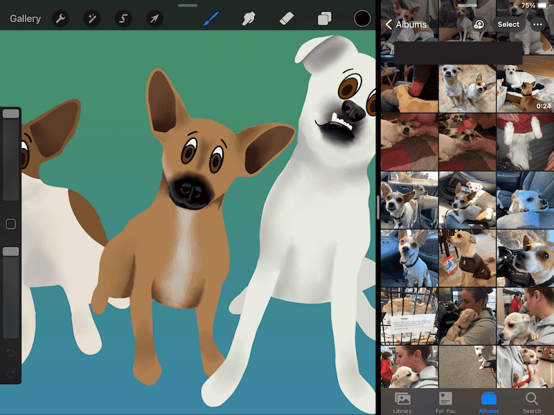 procreate split screen with photo library split screen dog drawing
