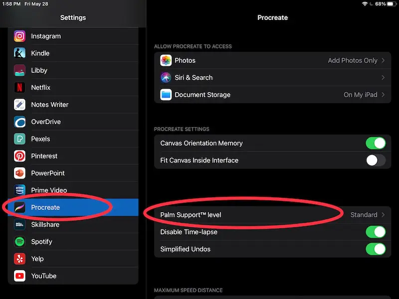 procreate palm support settings-1-min