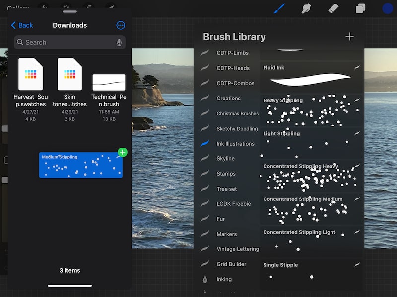 how to export procreate brushes with the files app