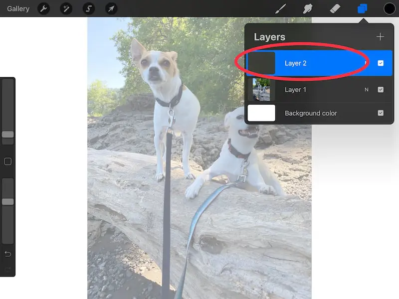 create a new layer in Procreate in tracing