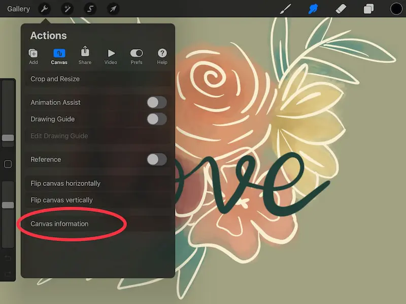 Procreate canvas information in the Actions menu