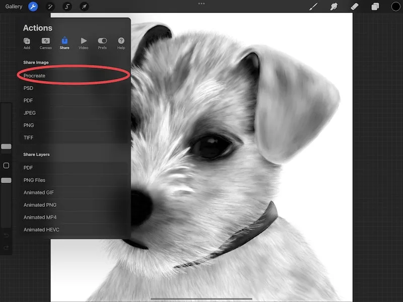 procreate file share option dog drawing