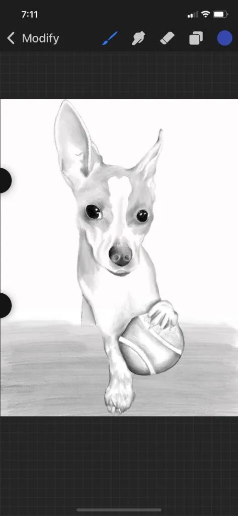 procreate pocket dog drawing example