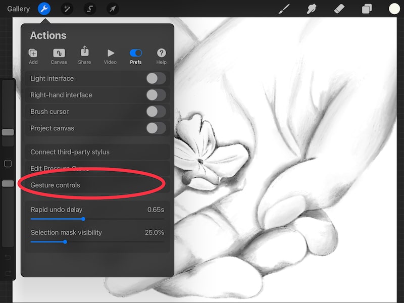 How to Flip Your Canvas in Procreate Adventures with Art