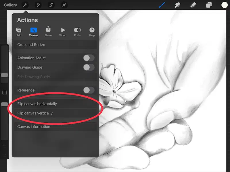 procreate how to flip a canvas
