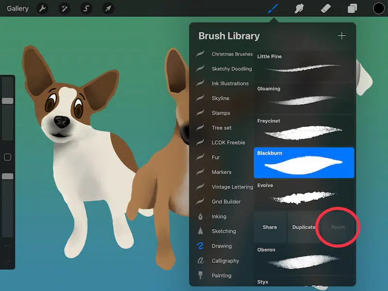procreate can't reset brushes