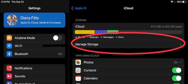 ipad manage storage