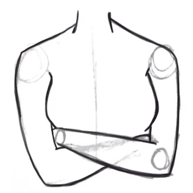 figure drawing anatomy