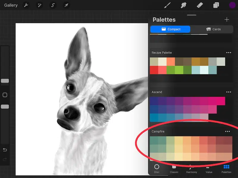 procreate imported color palettes